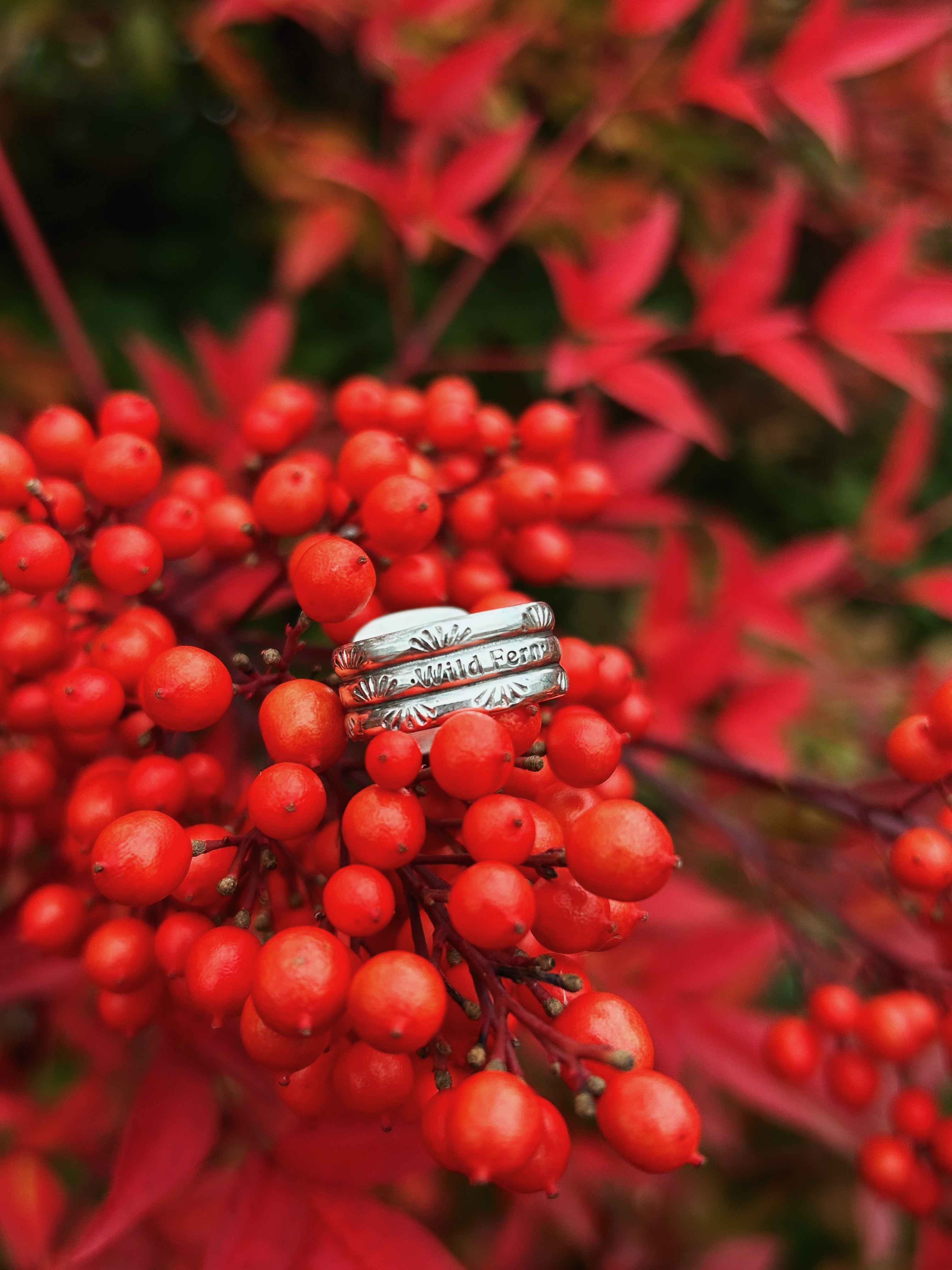 Shadow & Shell Ring (size 6)